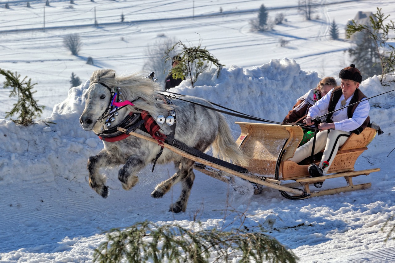 Kumoterki w Bukowinie Tatrzańskiej, góralskie sanie na śniegu z woźnicą