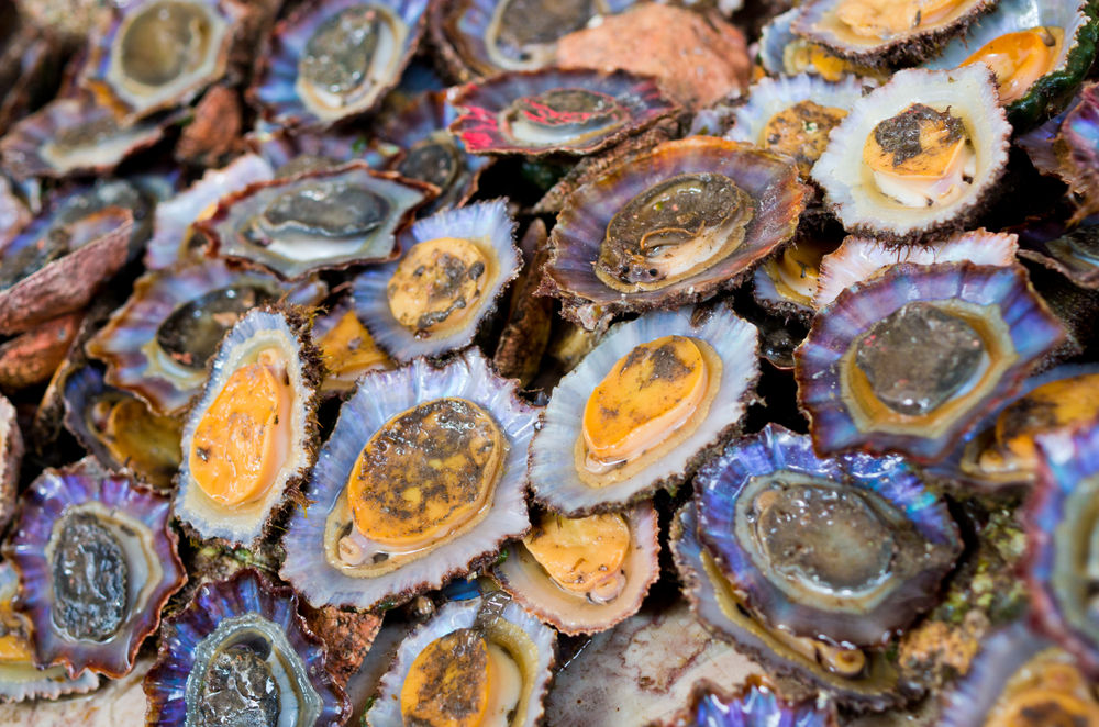 Marisqueira O Tonico