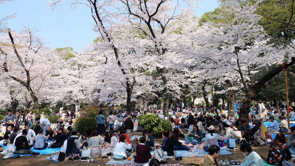 Hanami