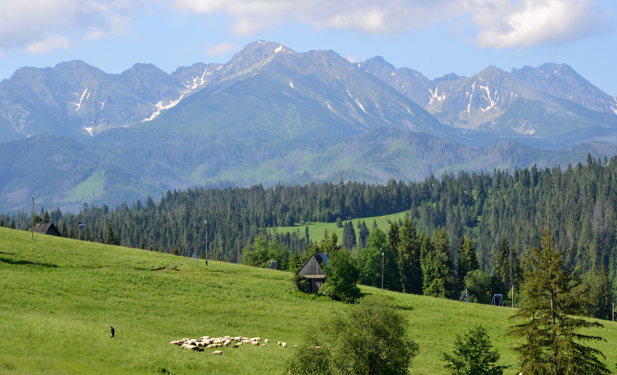 tatry latem