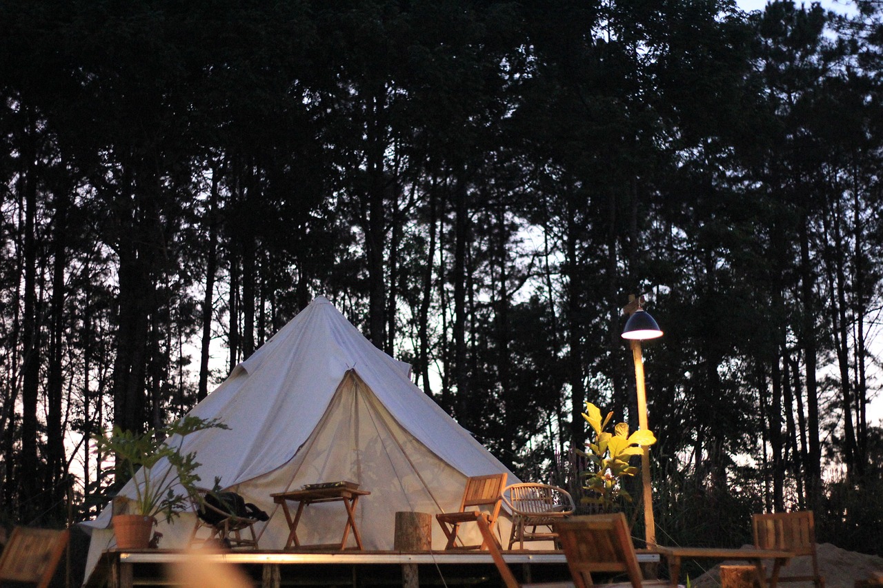 Glamping - namiot w lesie