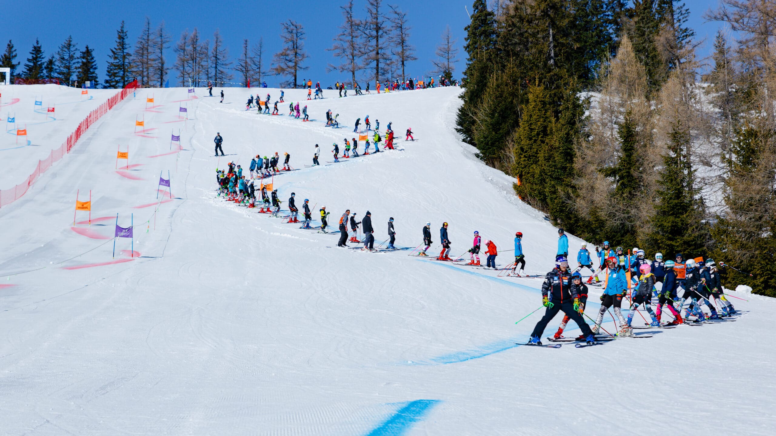 Młodzi zawodnicy w numerach startowych przygotowują się do startu w zawodach narciarskich Billa Žampa Cup.